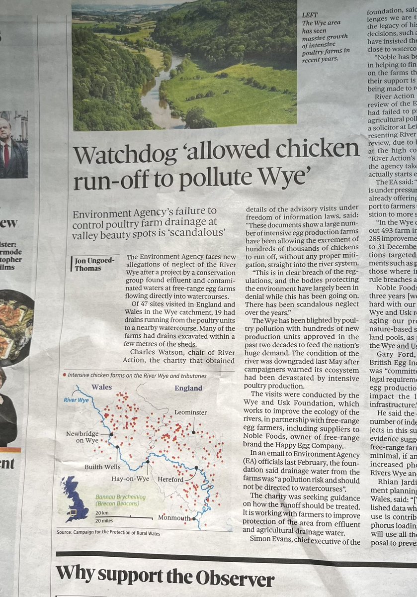 Another sordid chapter in of how the Wye - one of our most iconic rivers - has been allowed to die under a flood of chicken sh☠️t… Our investigations reveal how intensive egg farms have drains running from their sheds direct into the river - down which the 💩 of 100s of 1,000s…