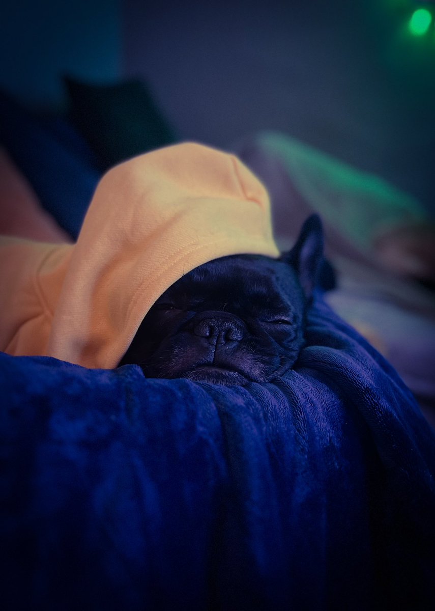 Gary Crawford tweet media