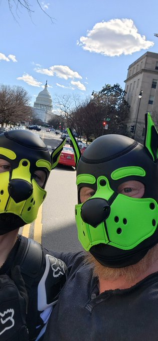 DC may not be New Hampshire, however, I had a great time at MAL. Especially meeting my host puppy! @StrictFinDom