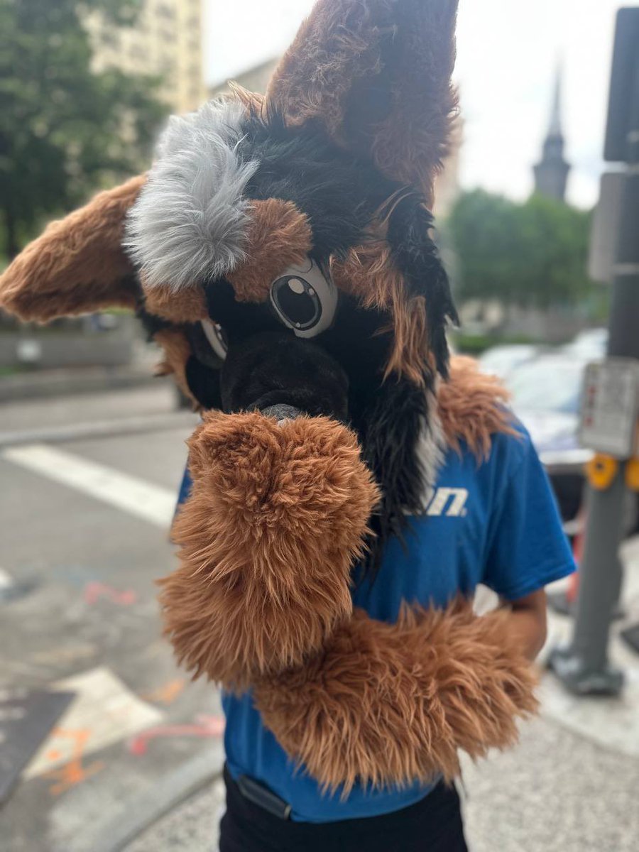 Chevy Shep🔜NYFB (@PupChevy) / Posts / X
