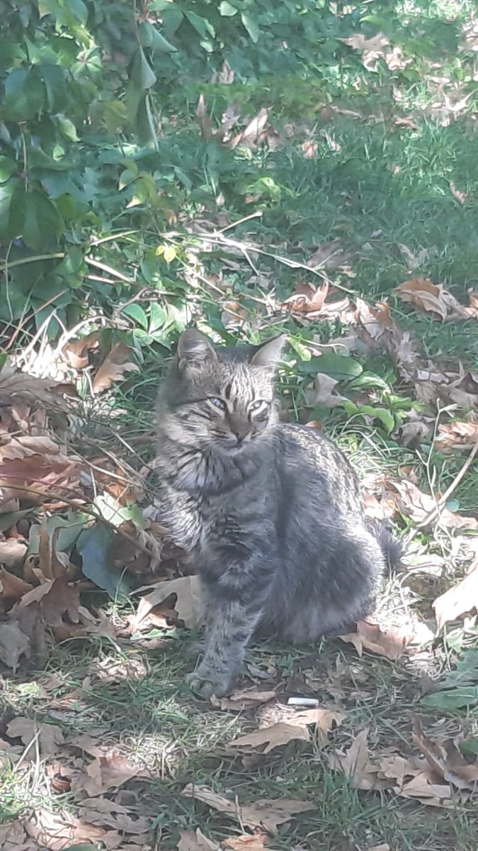 Bts olmayan 4 fotoya göre hangi üyenin vibeini veriyorum (hep manzara fotolar var diğerlerini zor buldum)