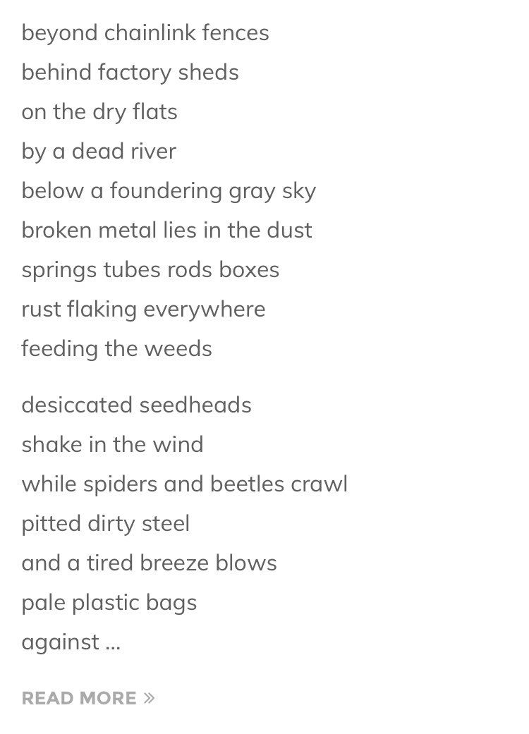 lydia paar tweet media