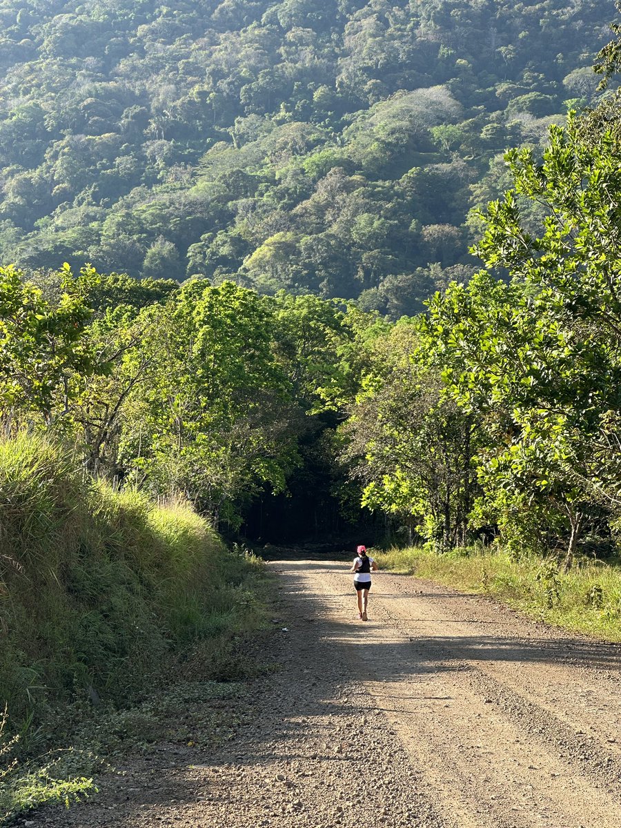 JCtrisports's tweet photo. 5 horas entrenamiento en la montaña en camino al próximo #retodelindio2024 https://t.co/cqkZDfSh3Z
