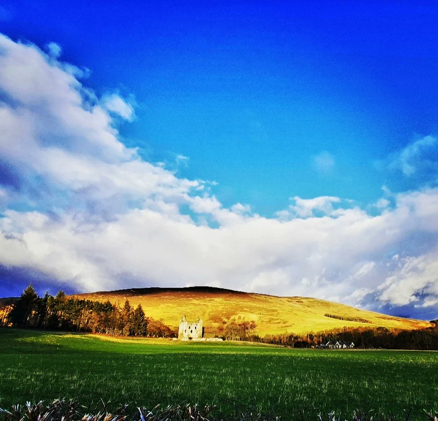 blonde_on_bikes's tweet photo. 7mile hike up round the Duchess Drive.  The views looking over to the eildons was lovely🌞.....though we had hailstones at the top 🥶❄️
#bowhill #duchessdrive #walkingtrails #scottishborders https://t.co/IV8wAKL4Id