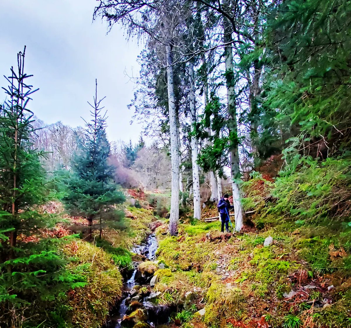 blonde_on_bikes's tweet photo. 7mile hike up round the Duchess Drive.  The views looking over to the eildons was lovely🌞.....though we had hailstones at the top 🥶❄️
#bowhill #duchessdrive #walkingtrails #scottishborders https://t.co/IV8wAKL4Id