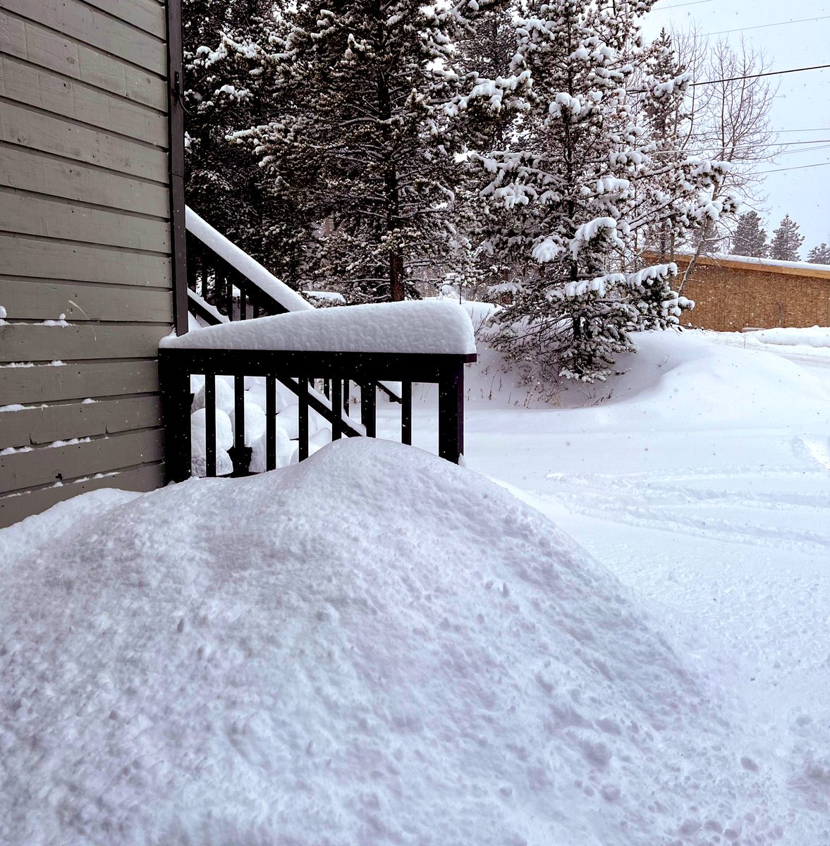 buckets tweet media