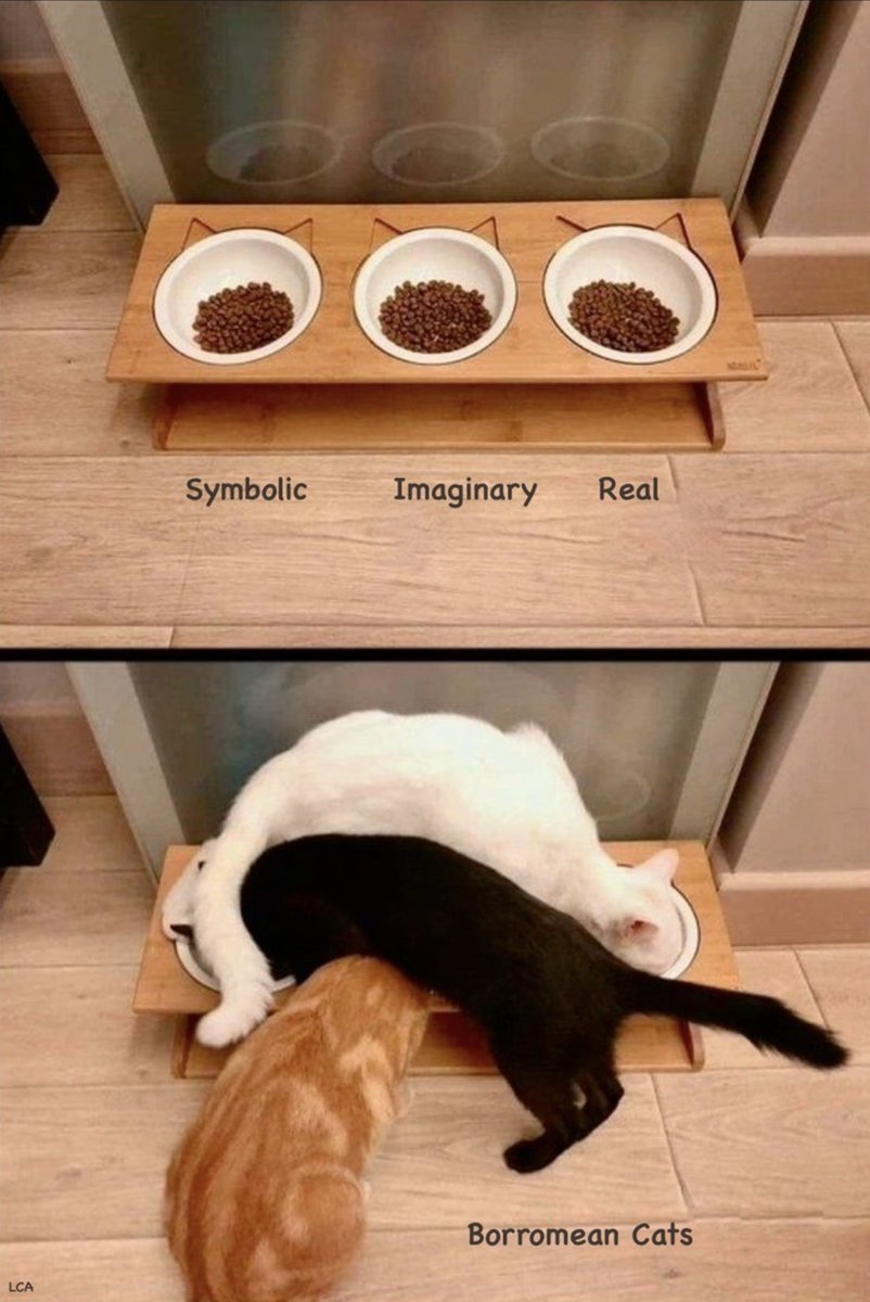 lacancircle's tweet photo. Meanwhile in Borromean cats https://t.co/WxnmAFZDZn