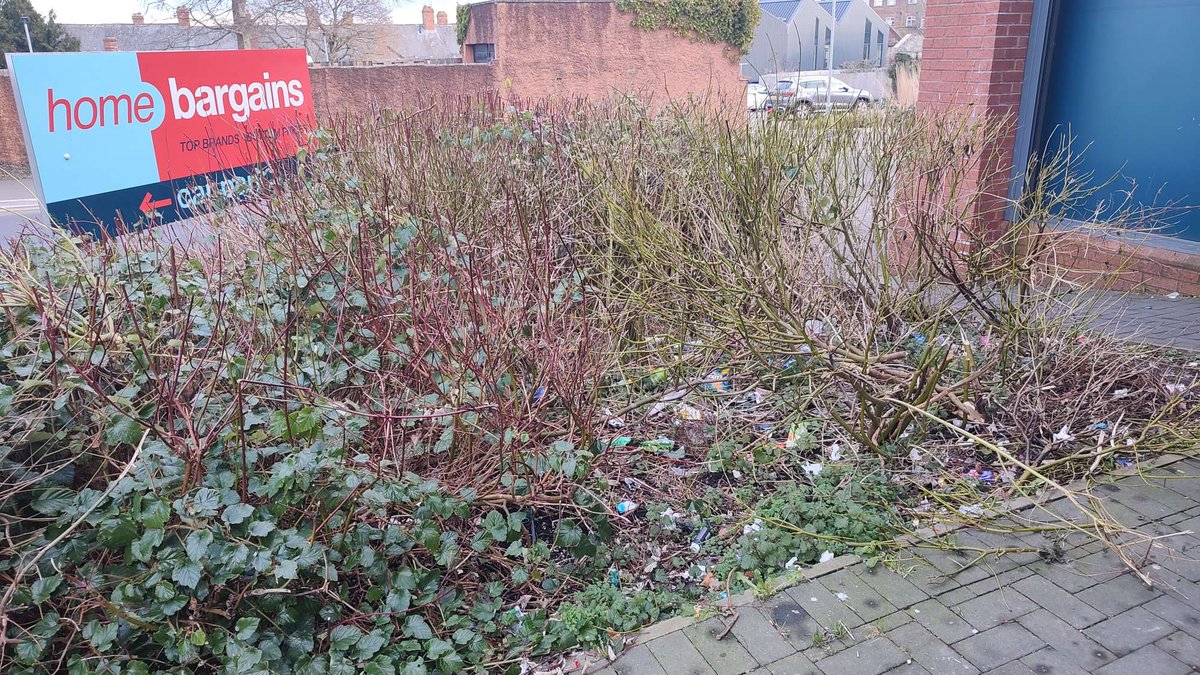 Jon Goss tweet media