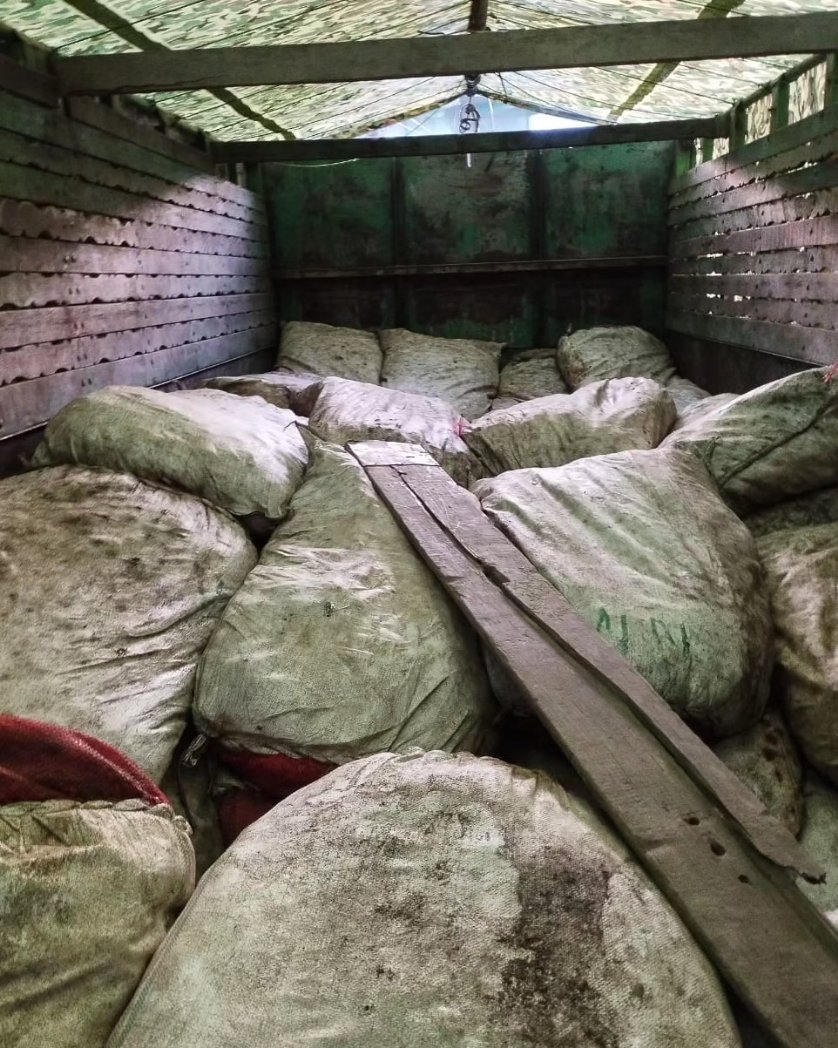 K_Sapdanga's tweet photo. On the morning of January 14, 2024, Bilkhawthlir Police successfully carried out an operation in Buhchang peng, Bilkhawthlir, resulting in the seizure of 90 bags of foreign Areca nut from truck AS-11-CC-2202. This decisive action, conducted around 6 am, led to the apprehension of both the Areca nut and the truck driver, who claims ownership.

In a similar incident, Serchhip SP and his team intercepted and seized seven trucks transporting foreign Areca nut. Responding promptly to received information, Serchhip SP and the team swiftly acted, making arrests near Thentlang at approximately 7:30 pm.

I express my sincere appreciation to Kolasip and Serchhip SPs, along with their dedicated teams, for their commitment. I believe their efforts inspire confidence in the effectiveness of our law enforcement agencies, reassuring the public of our dedication to justice and security.

@PMOIndia @AmitShah @timesofindia @ttindia @himantabiswa @IndiaToday