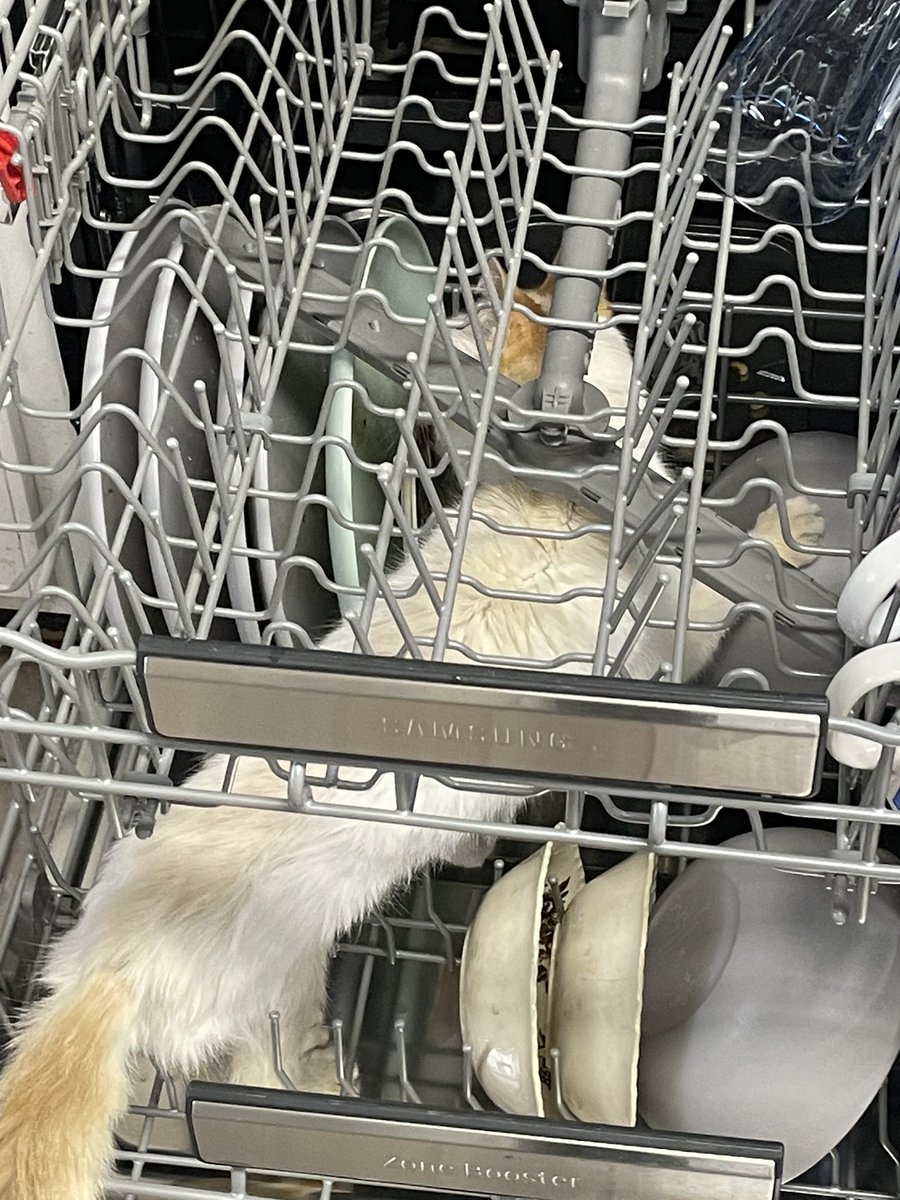 This is actually how dishwashers work