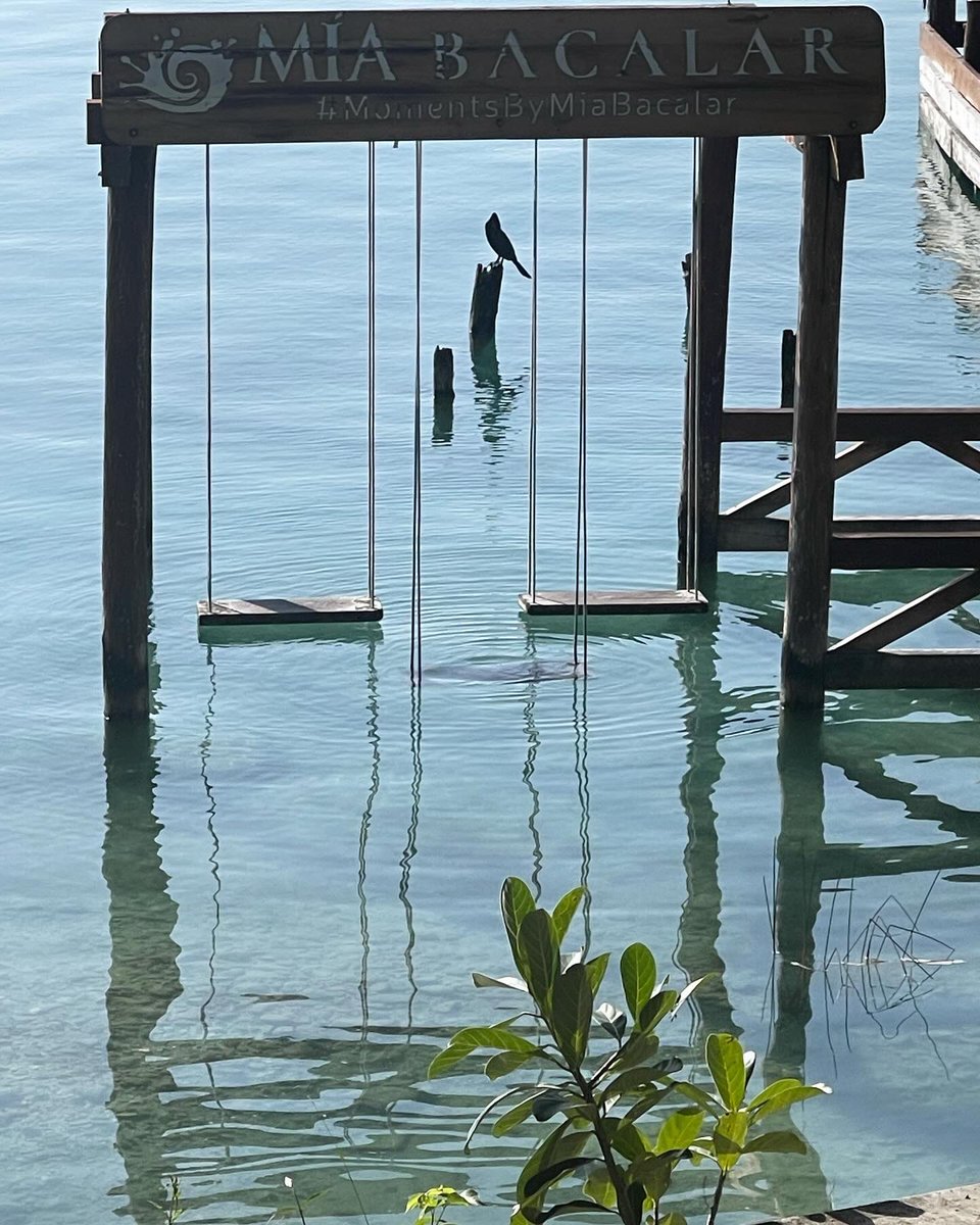 Ho cominciato ad amare veramente me stessa … bisogna avere esperienza per IMPARARE a VIVERE …