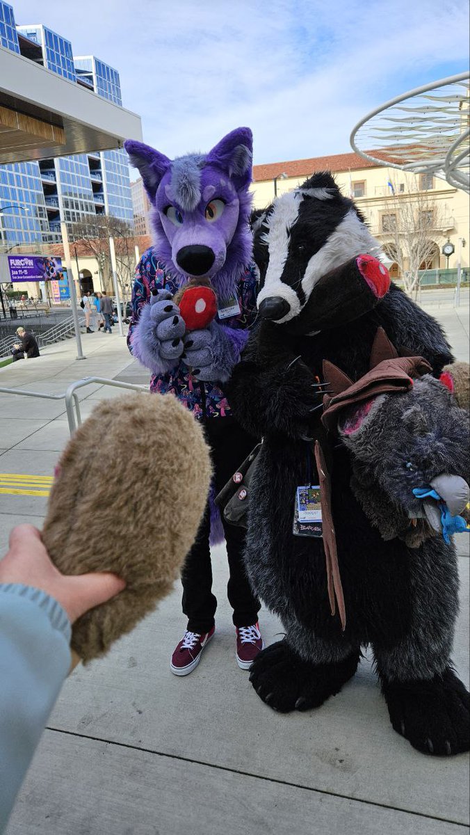 lavender_yeen's tweet photo. @VoreBadger "is it in my mouth?" *badger snickers* https://t.co/Jkeri1N1Dk