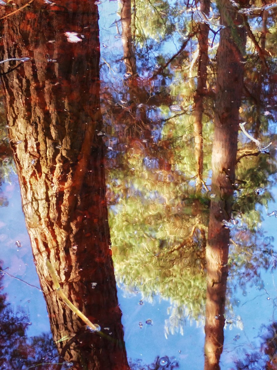 Gtaylor15Graham's tweet photo. At last some blue sky and sunshine after what seems like weeks of gloomy skies and rain! One bonus of all the rain though, is the fantastic reflections! #lincolnshire #omsystemcameras https://t.co/J151WIPkLd