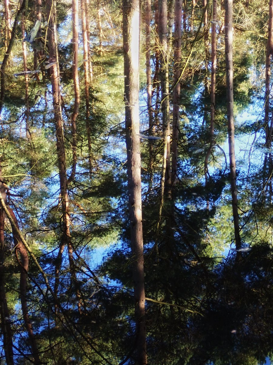 Gtaylor15Graham's tweet photo. At last some blue sky and sunshine after what seems like weeks of gloomy skies and rain! One bonus of all the rain though, is the fantastic reflections! #lincolnshire #omsystemcameras https://t.co/J151WIPkLd