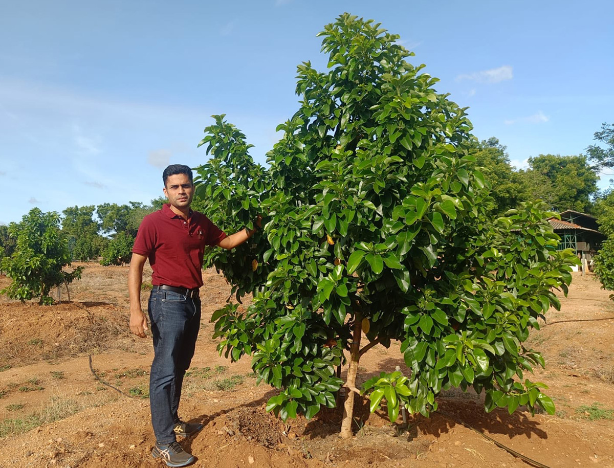 Varkey George quit his job with Texas Instruments to grow exotic fruits in Tamil Nadu. He tells @chandhini97 about the fast-growing exotic fruit market in India and earning over Rs4 lakh per acre through their farming: 30stades.com/farming/engine… #dragonfruit #farming #horticulture