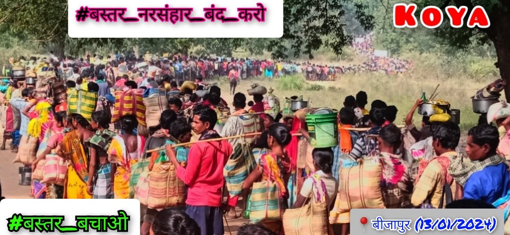 Nandoo hodi tweet media
