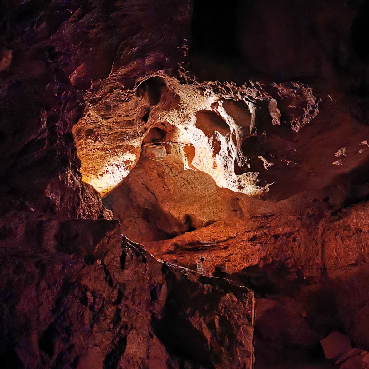 We recently welcomed a team from the YouTube account Ben G Thomas to Kents Cavern to talk about the scimitar cat teeth found here. Presenter Emilia and our own Tour Guide Quinn filmed this episode: m.youtube.com/watch?v=SqAiOg…