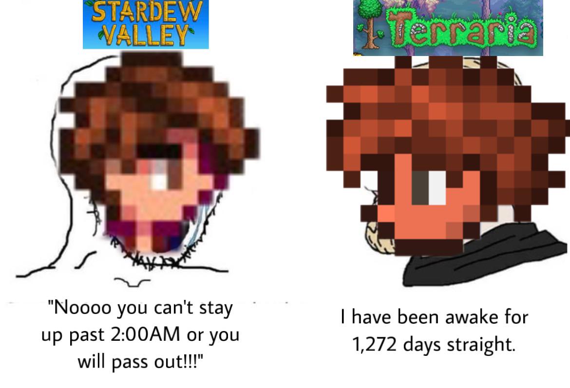 Stardew Valley MC vs Terraria MC redd.it/196m5vc
