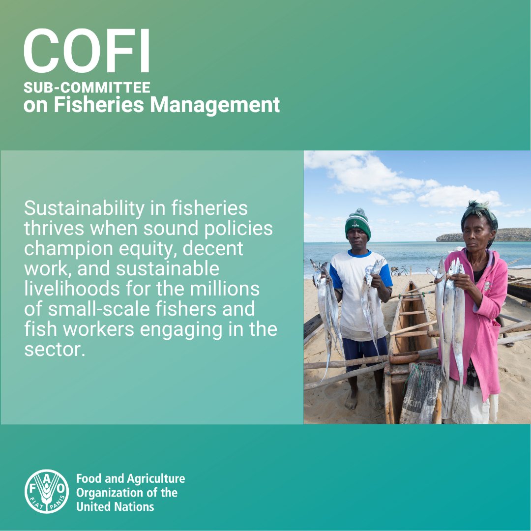 #SmallScaleFisheries are on today's #COFIFishManagement agenda.

Under discussion:
🔹effective #fisheries management tools & processes
🔹experience-sharing in the implementation of management systems
🔹 capacity development for effective data & info systems 👇