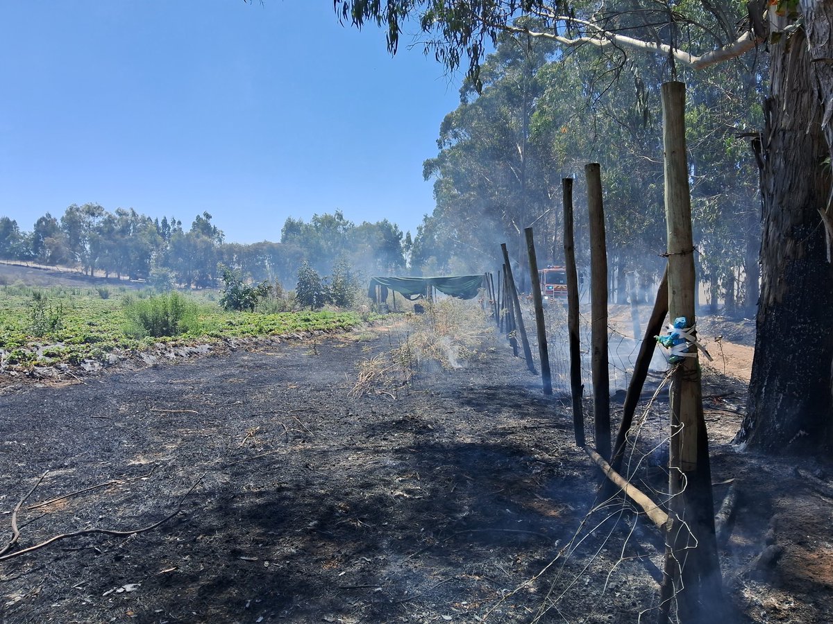 StoDomingoECO12's tweet photo. Al momento, contenido por trabajos de Bomberos Santo Domingo y San Pedro está incendio en el sector Pangui Rosa en Santo Domingo, tres tractores y lugareños trabajaron en la contención, preliminar 2 hectáreas aprox
@santodomingocl
@CenaprocCL @Senapred @conaf_minagri https://t.co/UtQ3RSxKov