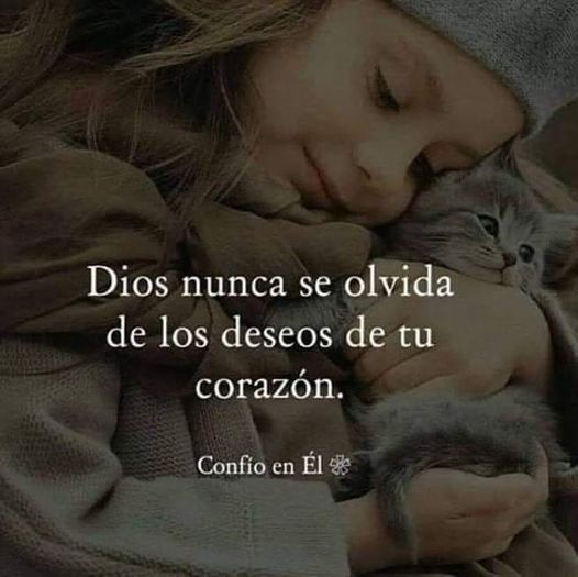 M. Jesús Sáez de Alb tweet media