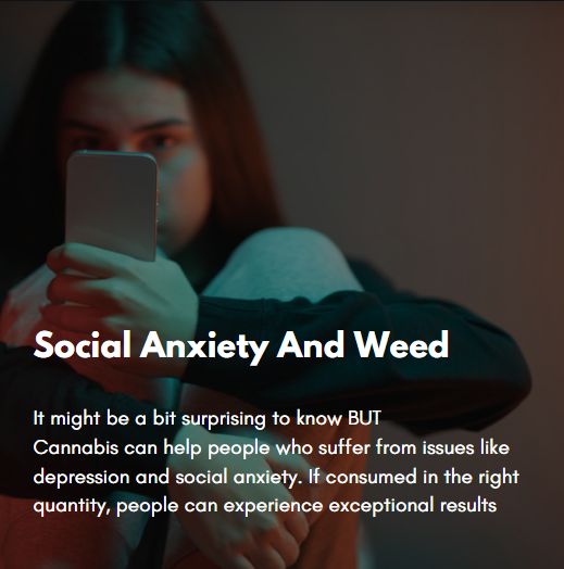 Social anxiety can take

#socialanxiety #sociallife #cannabislife #cannabiscommunity #intelligentstoners #geniuspothead