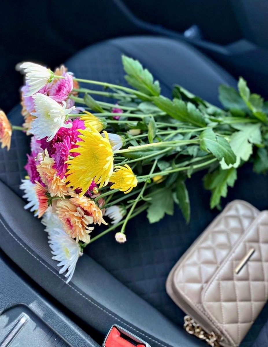 Kıramadığım kalpler beni korkak sandı 😔