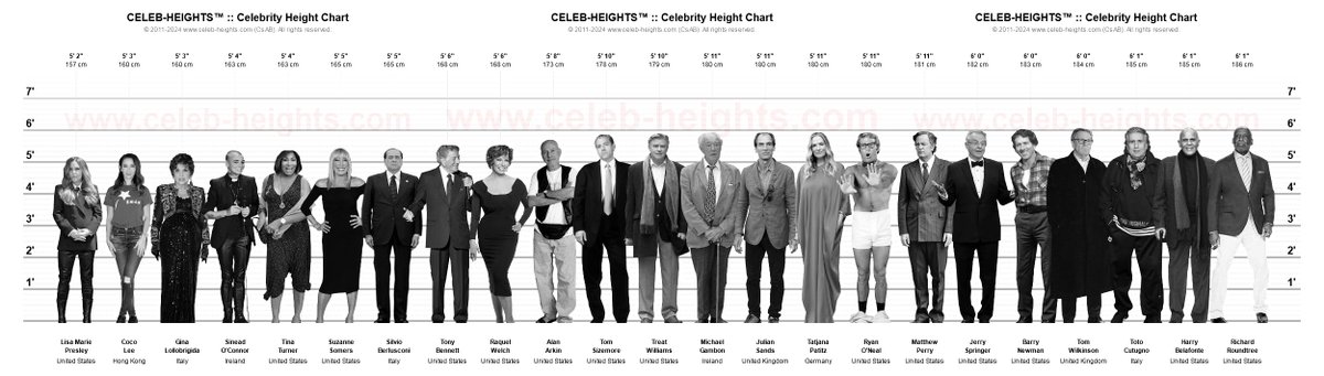 celebheightscom's tweet photo. #RIP Celebrity #Deaths of #2023. #LisaMariePresley #CocoLee #Lollobrigida #SineadOConnor #TinaTurner #SuzanneSomers #SilvioBerlusconi #TonyBennett #RaquelWelch #AlanArkin #TomSizemore #JulianSands #TatjanaPatitz #RyanONeal #MatthewPerry #TotoCutugno #Belafonte #RichardRoundtree https://t.co/PU8igrZgs1
