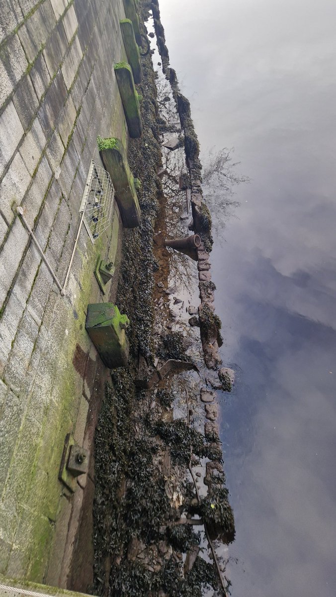 Mick_Finnegan's tweet photo. I'm looking forward to going for a swim tomorrow. Had a quiet weekend. Didn't do much. Spent a fair bit of my time just reading, eating, and just going on a couple of walks. Here's a picture of the Liffey that I think kinda looks like an optical illusion #156Days https://t.co/at56hcHQSZ