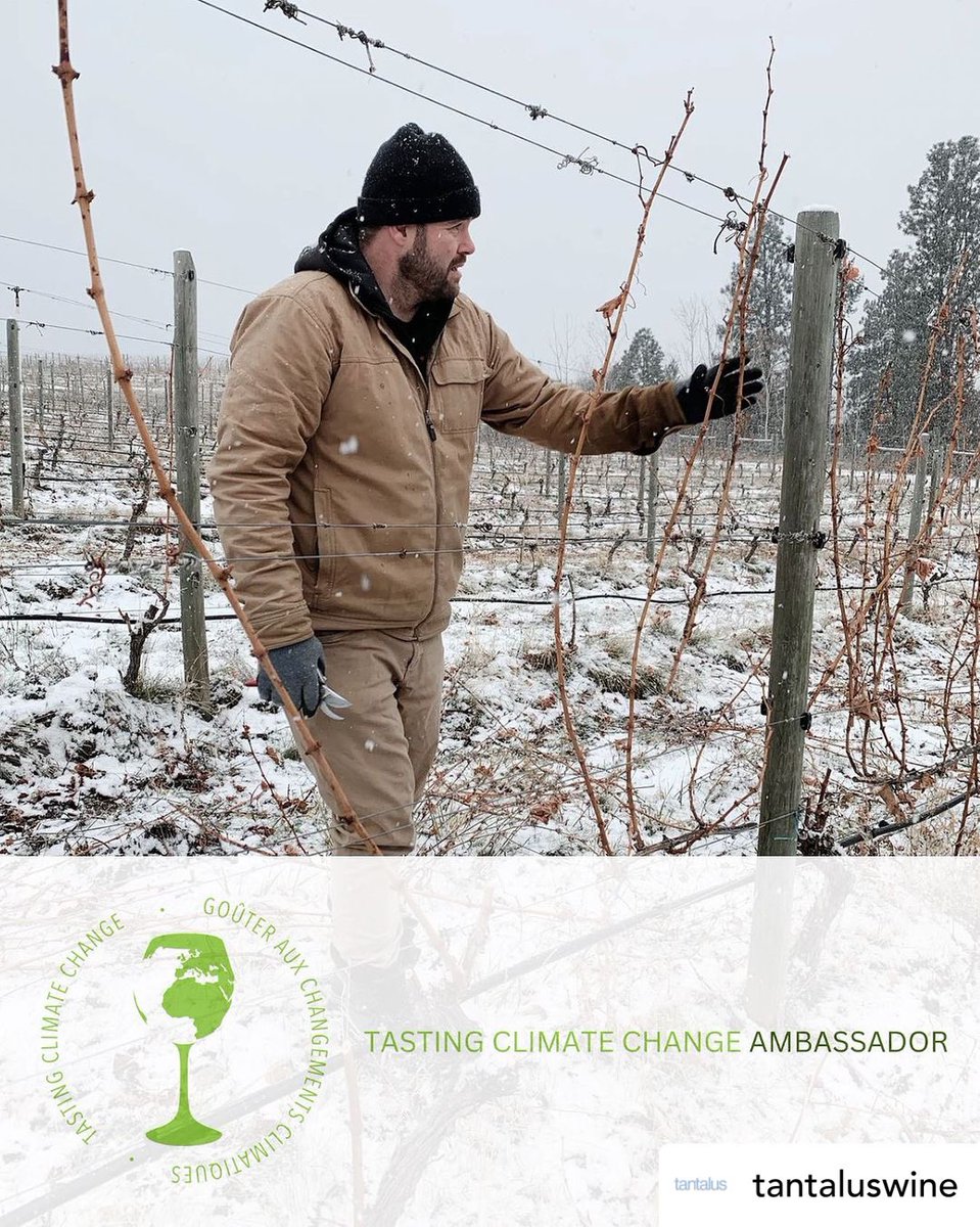 The Wine Syndicate (@winesyndicate) on Twitter photo Join <a href="/tantaluswine/">Tantalus Vineyards</a> winemaker David Paterson and <a href="/michellebwine/">Michelle Bouffard</a> at <a href="/TastingClimate/">TastingClimateChange</a> next weekend to exchange ideas and collaborate on pushing further with sustainable innovation and practices 🌱
#bcwine #drinkbc #supportlocal Join <a href="/tantaluswine/">Tantalus Vineyards</a> winemaker David Paterson and <a href="/michellebwine/">Michelle Bouffard</a> at <a href="/TastingClimate/">TastingClimateChange</a> next weekend to exchange ideas and collaborate on pushing further with sustainable innovation and practices 🌱
#bcwine #drinkbc #supportlocal