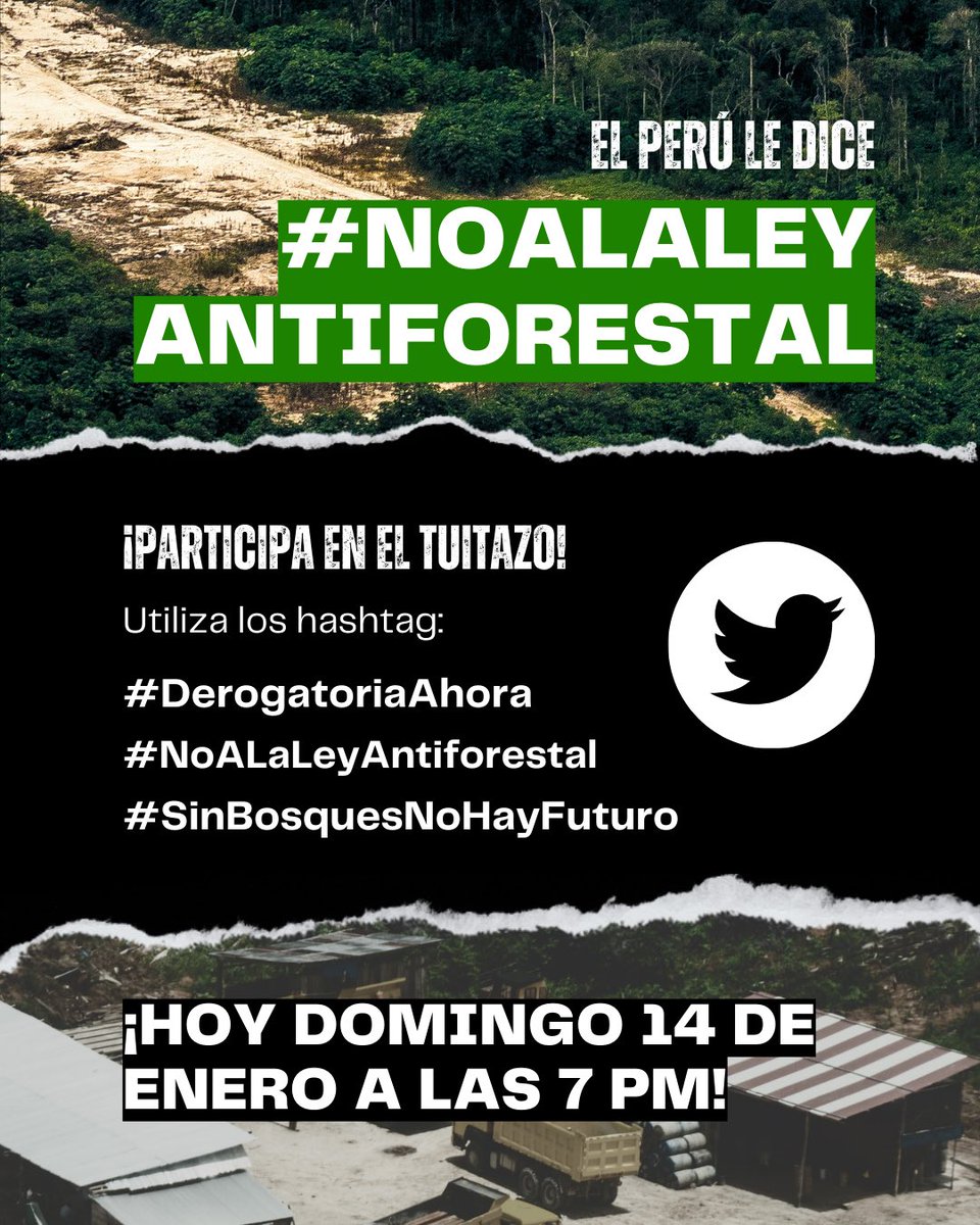 OxfamenPeru's tweet photo. #HOY | El congreso aprobó la Ley Antiforestal, publicada el jueves 11 de enero, esta Ley:
- Acelerará el ritmo de destrucción de la Amazonía.
- Legaliza e incentiva la deforestación de bosques.
- Dejará más desprotegidos a los defensores ambientales

#NoALaLeyAntiforestal https://t.co/qQe0D18i77