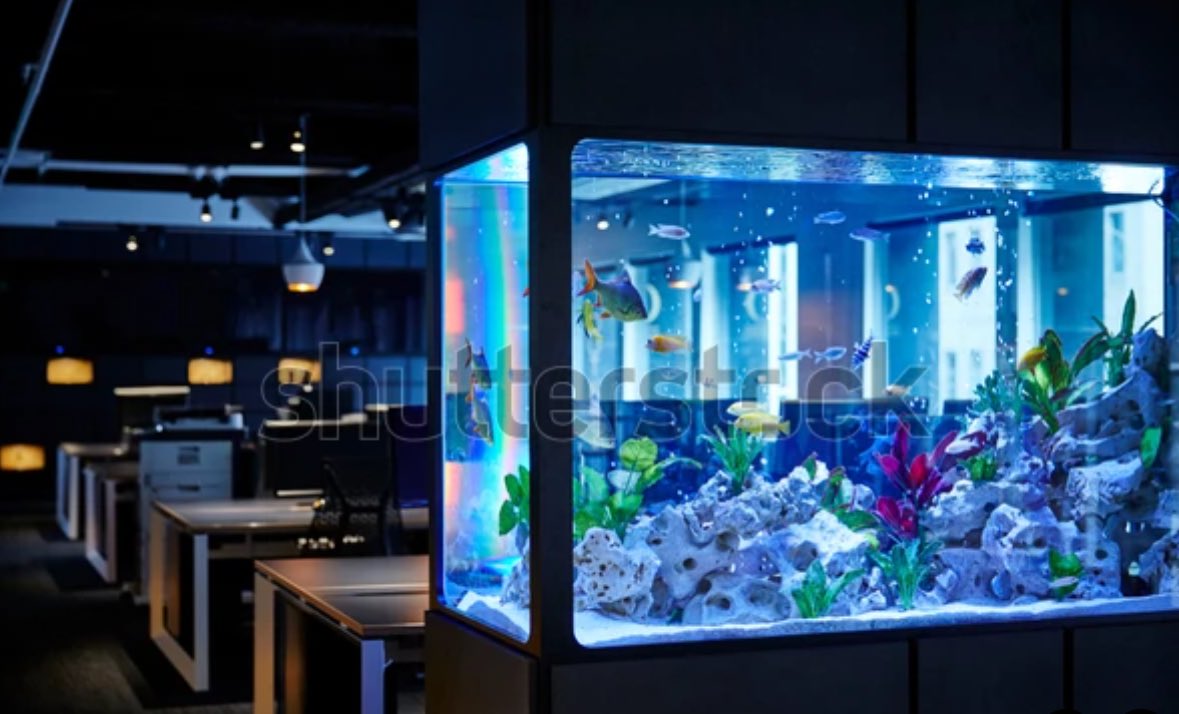 My fic for the <a href="/subjiminibang/">Subji Mini Bang</a> 🥹

🐠 天空沒有極限 (limitless) 🐠

Wangxian, 7K, E

🌌 WWX is a performance artist
🌌 And LWJ is obsessed with his art
🌌 An exercise in control, and free will
🌌 And realizing your bestie loves you back
🌌 Tender d/s

Link ⬇️