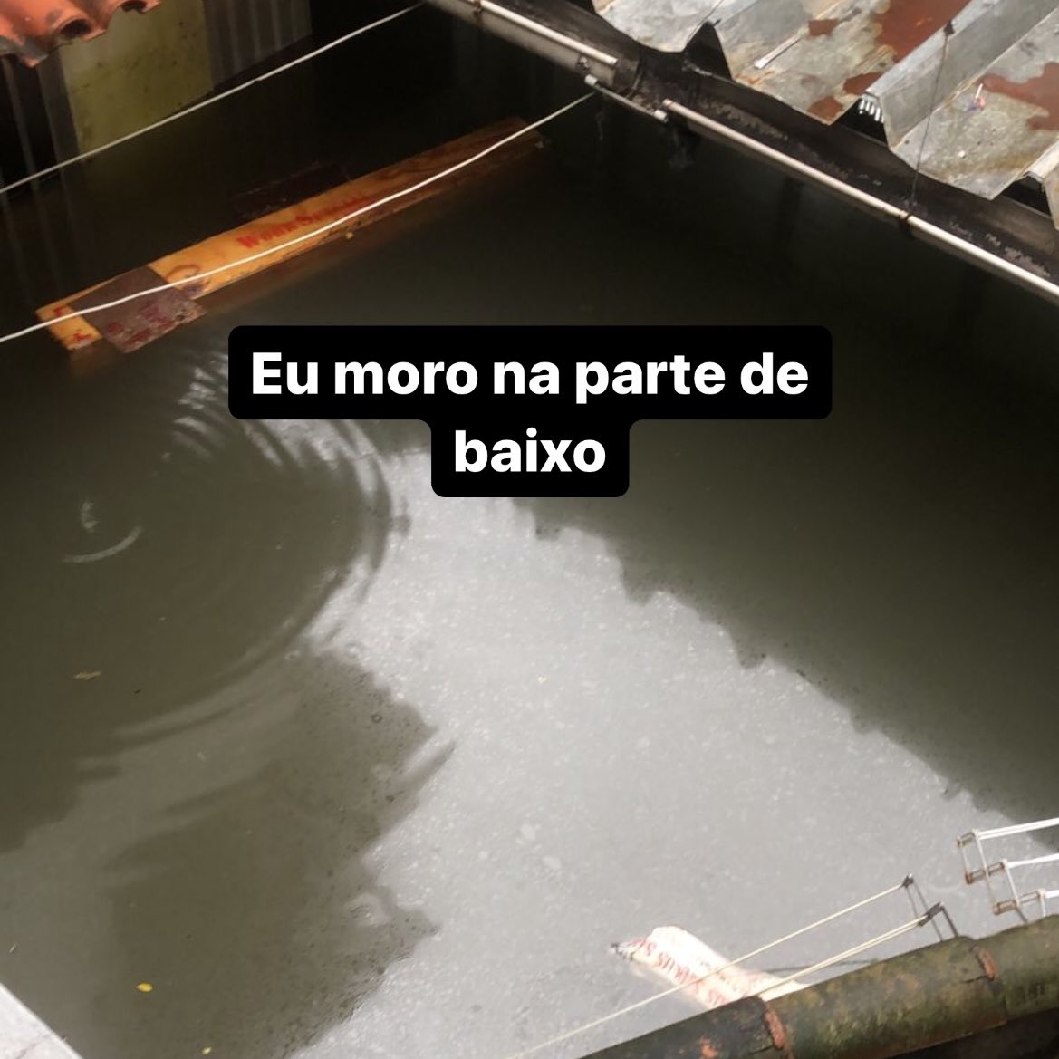 nydpedro's tweet photo. Fazendo esse post aqui pra ajudar um dos vários manos meus da zn e da baixada que perderam tudo na chuva de ontem aqui no RJ

Passamos o dia aqui na meta de arrumar doações pra quentinhas e água pra algumas casas, geral se ajuda como pode já que o estado n ta afim.

@Orlloc_ https://t.co/PTuvD41QnV