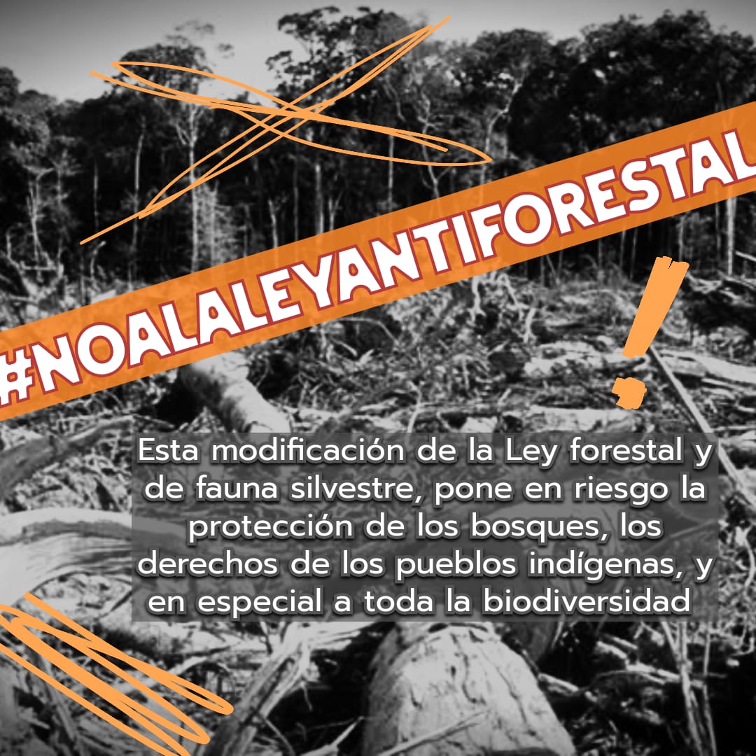 #NoALaLeyAntiforestal
#DerogatoriaAhora  @CongresoPerú @CONFIEP @Minam @MINAG