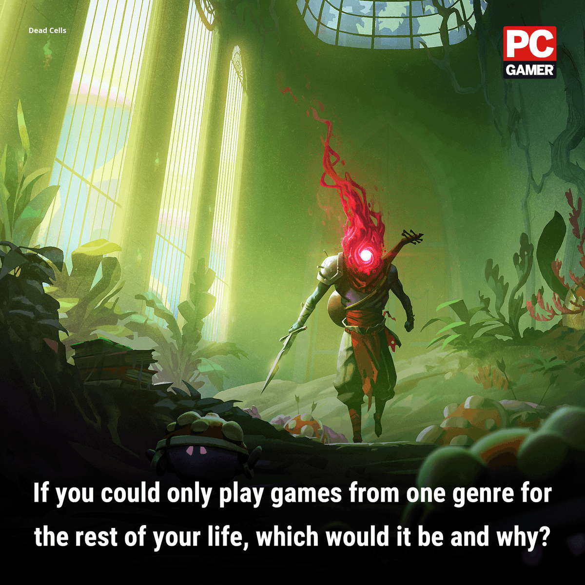 PC Gamer tweet media