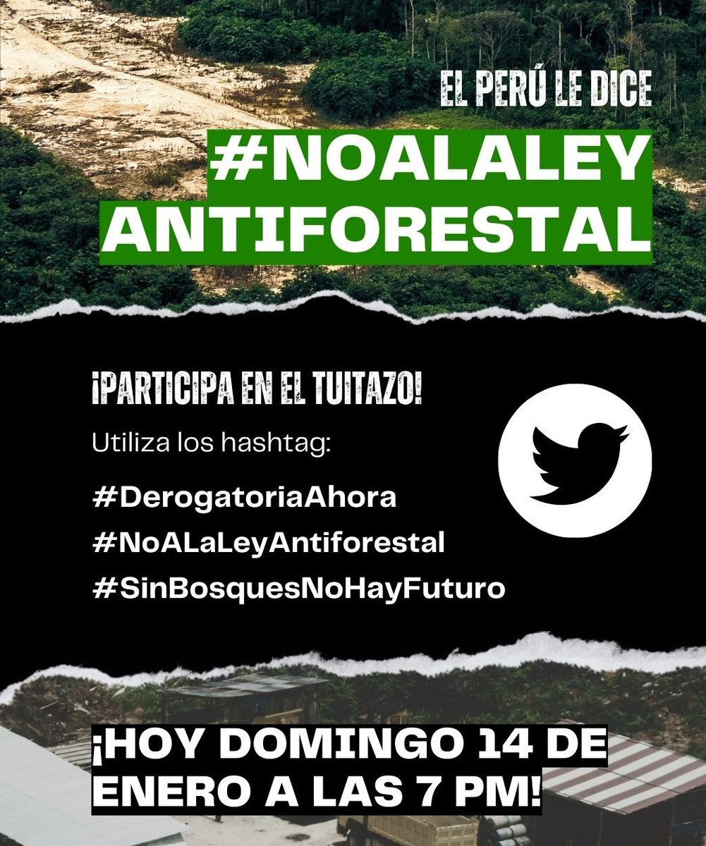 KillaSC3's tweet photo. Abajo la desprotección de la amazonia

#NoALaLeyAntiforestal

#DerogatoriaAhora https://t.co/rXP1oaNfCN