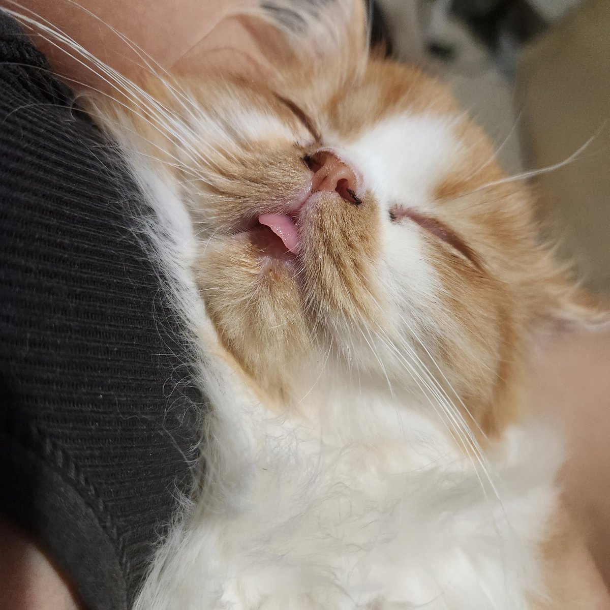 . missing this cutie