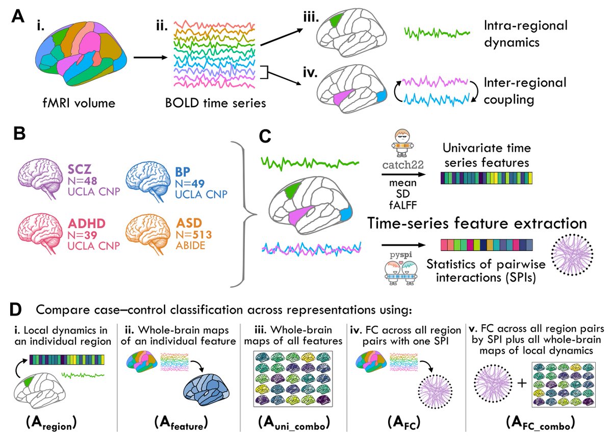 Annie G. Bryant (@anniegbryant) on Twitter photo 📣 First 2 years of my PhD have culminated into this new preprint w/ <a href="/Kevin_M_Aquino/">Kevin Aquino 🧠🔑</a> <a href="/LindenParkes/">Linden Parkes</a> <a href="/AFornito/">Alex Fornito</a> <a href="/bendfulcher/">Ben Fulcher</a>! 🥳 We take a deep dive into all the many ways we can slice n dice fMRI dynamics to quantify biologically relevant properties🧠🧮
biorxiv.org/content/10.110… 📣 First 2 years of my PhD have culminated into this new preprint w/ <a href="/Kevin_M_Aquino/">Kevin Aquino 🧠🔑</a> <a href="/LindenParkes/">Linden Parkes</a> <a href="/AFornito/">Alex Fornito</a> <a href="/bendfulcher/">Ben Fulcher</a>! 🥳 We take a deep dive into all the many ways we can slice n dice fMRI dynamics to quantify biologically relevant properties🧠🧮
biorxiv.org/content/10.110…