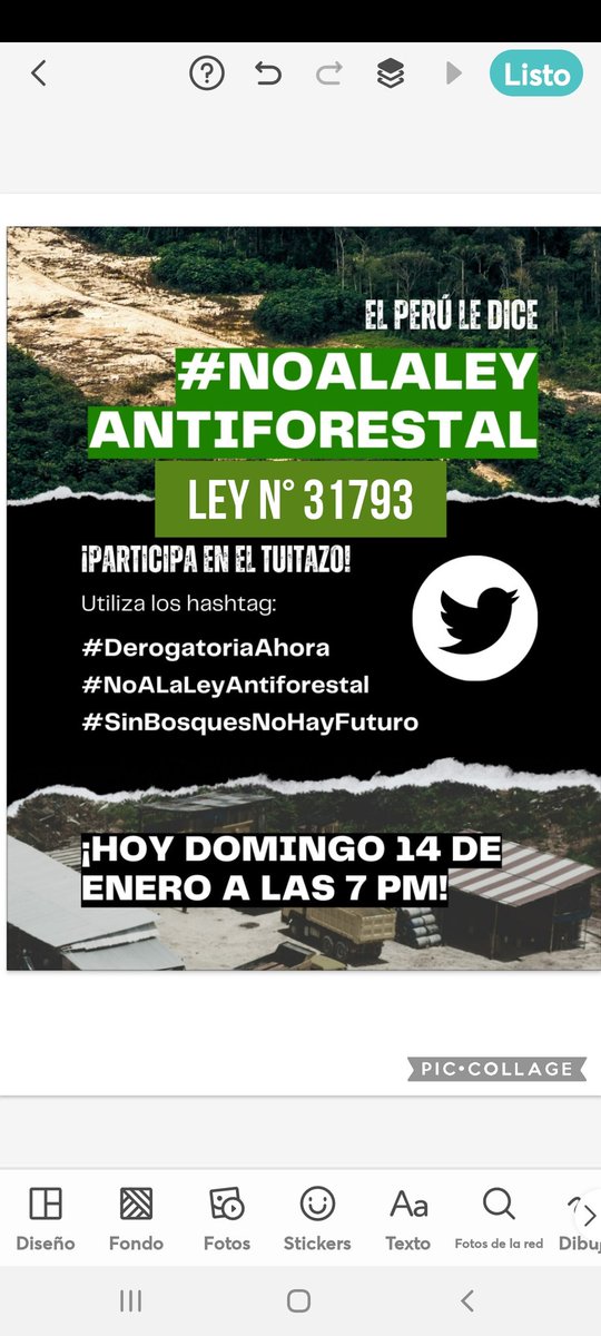 vilma_mc's tweet photo. Los bosques se defienden. El @congresoperu una vez más atenta contra la Amazonía, basta impunidad. El Perú dice #NoALaLeyAntiforestal y exigimos #DerogatoriaAhora
@EdMalagaTrillo 
@ANAPeru 
@MinamPeru
@midagriperu
@presidenciaperu
@BioTwitt3r https://t.co/r7ph0tIU18