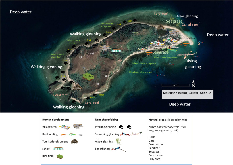 Genderaquafish tweet media