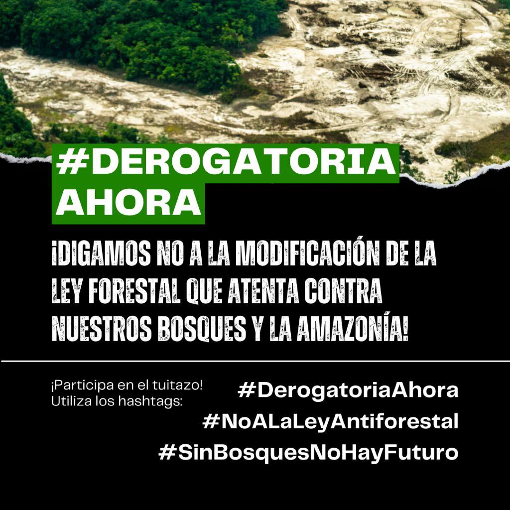buhoelectricope's tweet photo. ✅ Los bosques son patrimonio natural del Perú y la humanidad. 
✅ Contribuyen a la lucha frente al cambio climático.
✅ Forman parte de los territorios y contribuyen con medios de subsistencia para los PP. II.

#NoalaLeyAntiforestal
  #DerogatoriaAhora  #SinBosquesNohayFuturo https://t.co/gCIwQ7e9aG
