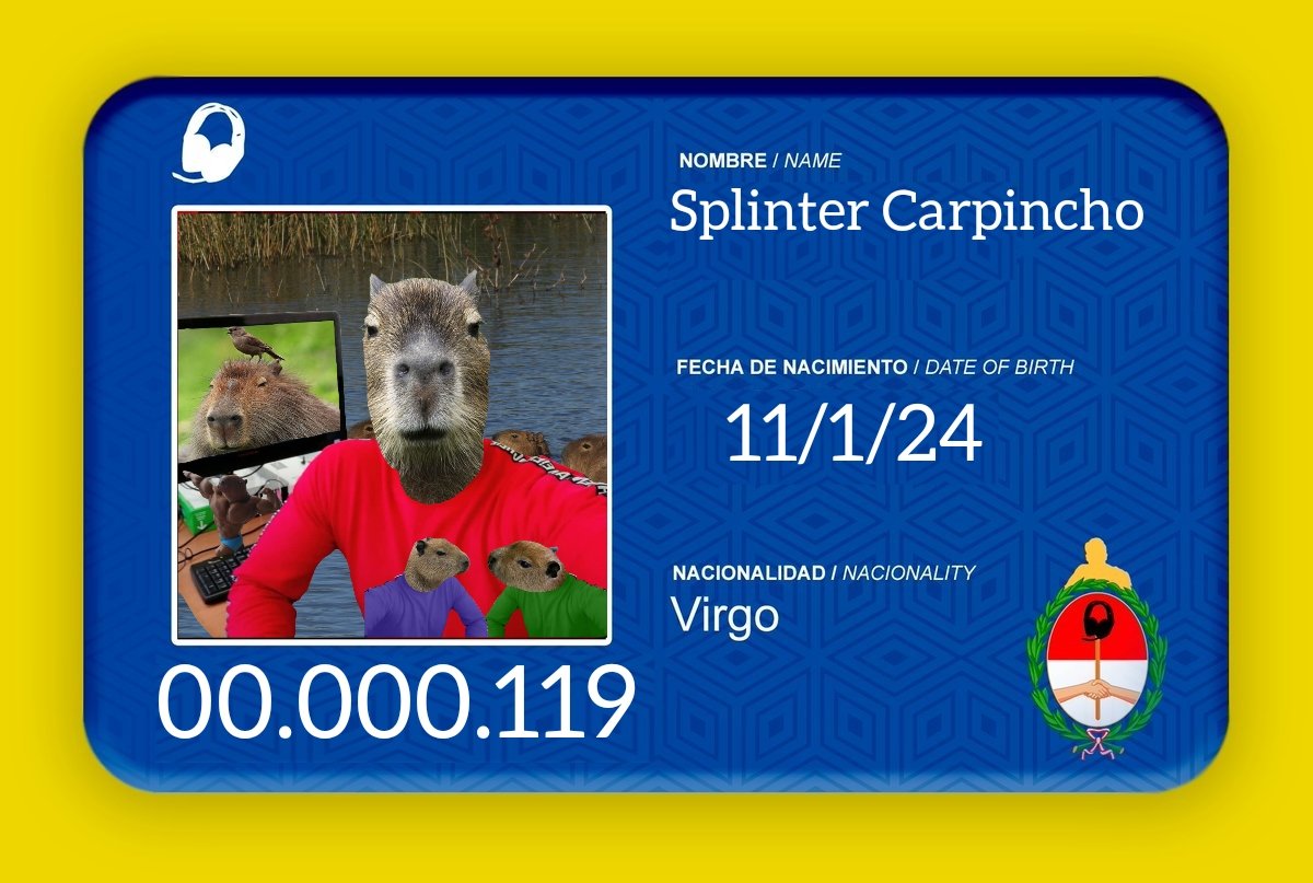 👤: Splinter carpincho 

@ : @SplinterCarpin

📷: <a href="/GuasonSplinter/">Splinter Guason</a>

📄:Carpincho en su momento invadió nordelta domando a tinchos y milipilis, en su momento un splinter muy activo ahora dedica su vida a estar en paz con su familia.