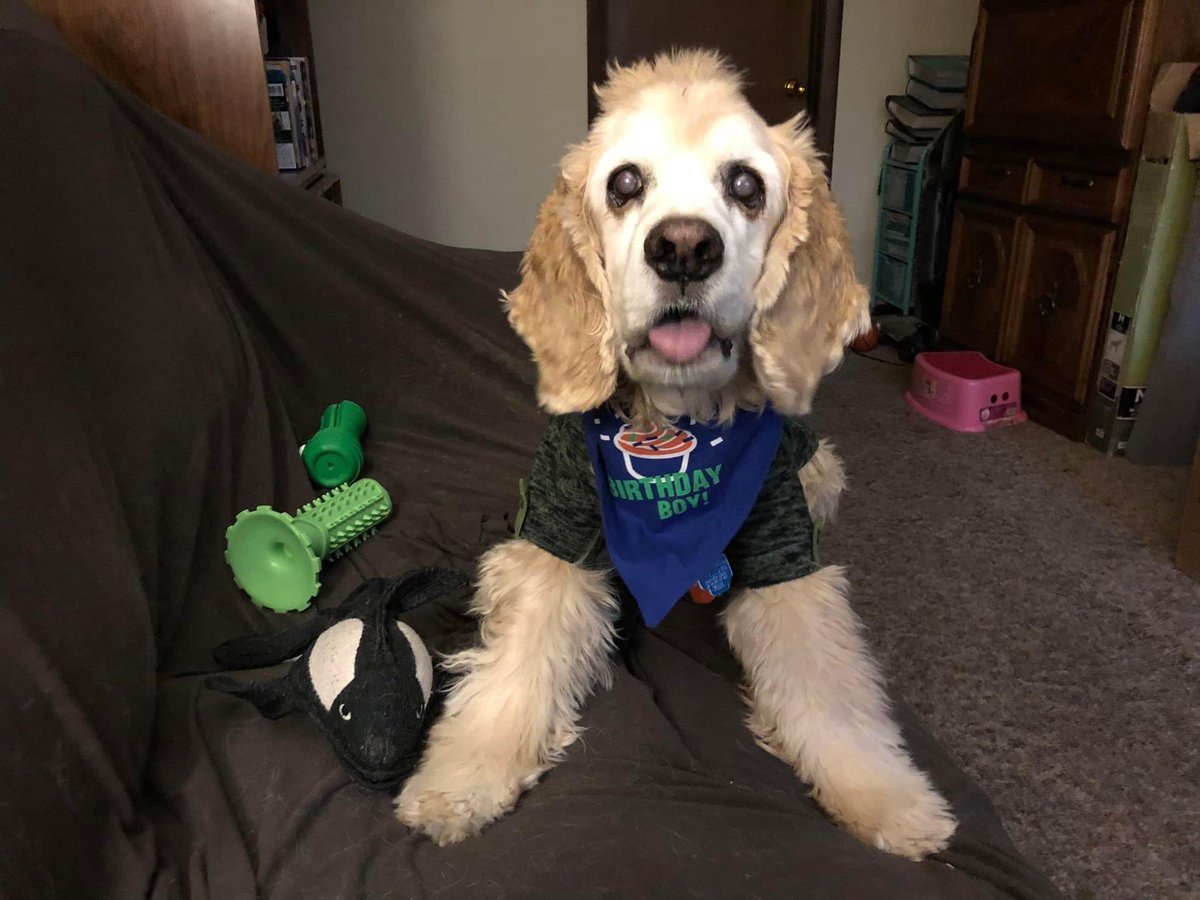 Kimberlee❤️🐶🐬🐋🦋🐞🐢🦦🐺🐧 tweet media