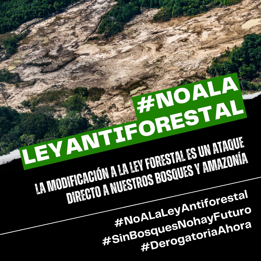 luisbarcena7's tweet photo. ¡Defendamos nuestros bosques y la Amazonía! Los peruanos le decimos #NoALaLeyAntiforestal y exigimos la #DerogatoriaAhora https://t.co/8coFu3m6Kk