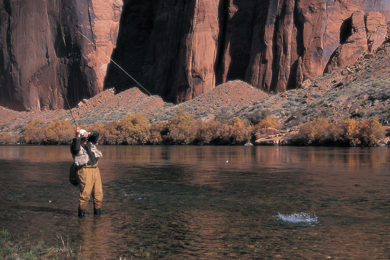 FlyFishermanMag's tweet photo. There are more than 1,100 species of freshwater crustaceans in North America, but only a few are important to tailwater anglers: scuds, sow bugs, and Mysis shrimp.
https://t.co/Sk6unCqZji
#flyfisherman #scuds #flyfishing #flytying #crustaceans #rivers #streams #trout https://t.co/3vG3AydCJ7
