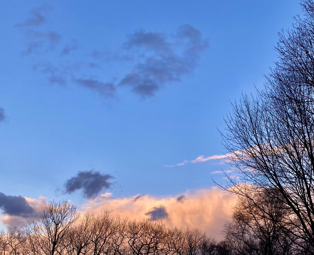 Allone34789's tweet photo. #NaturePhotography
#Naturephotography
#photography #Photography
#nature #naturelovers
#sky #tree #blueskies
#outside #cloudcolors
#NatureLovers #Nature
#clouds https://t.co/9TqHYLzChb