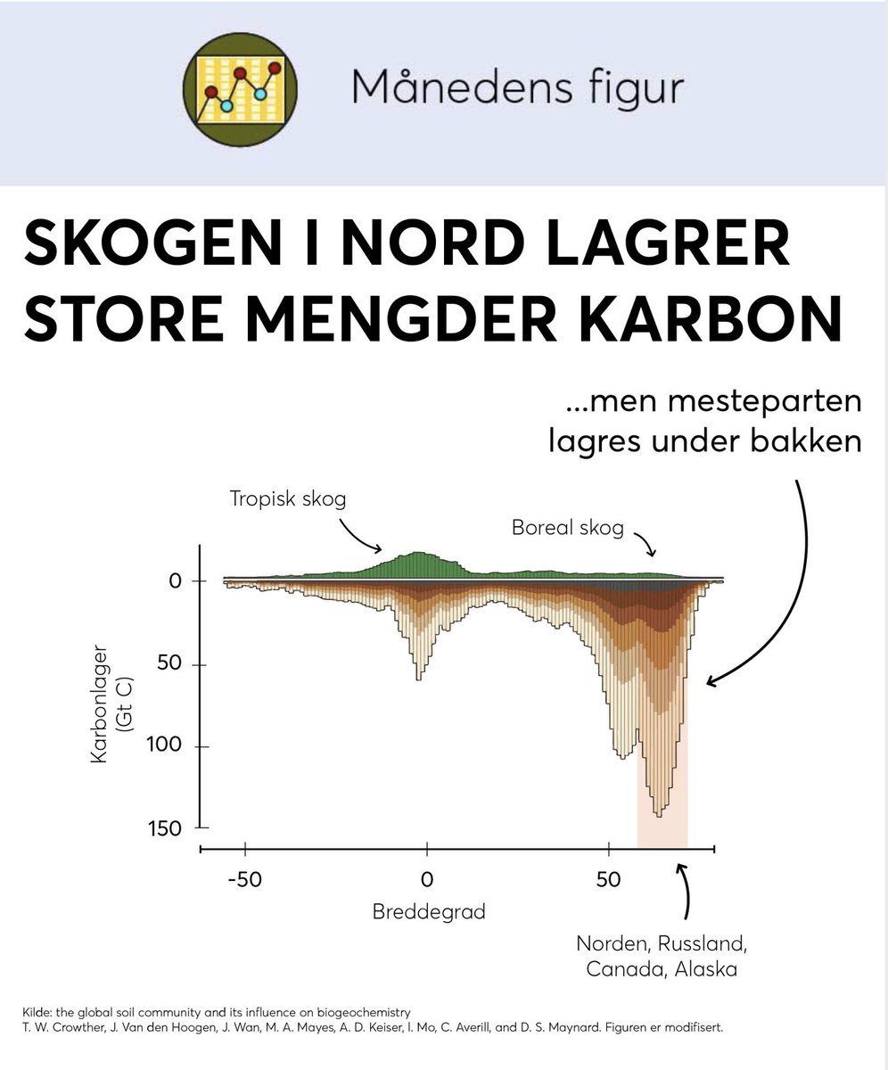 Månedens figur fra <a href="/CICERO_klima/">CICERO - Center for International Climate Research</a> 

Boreal skog lagrer mer karbon i bakken enn det tropisk skog gjør - tenk det!