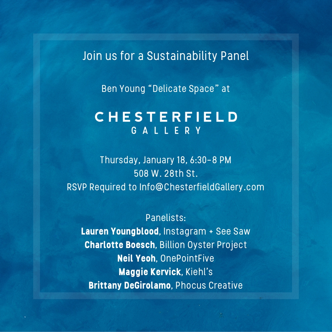 Join a sea of ideas at Chesterfield Gallery's upcoming sustainability panel, featuring our Shell Collection Program Manager, Charlotte Boesch. 🌊 Network with NYC's eco-thinkers and see artist Ben Young's 'Delicate Space' on Jan 18. RSVP instructions below. #sustainability #nyc