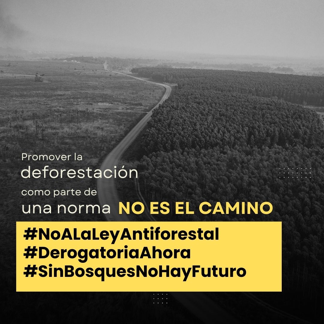 ONGDAR's tweet photo. Los cambios normativos no pueden hacerse a costa de estándares ambientales, por eso, le decimos al @congresoperu #NoALaLeyAntiforestal. No permitiremos que se destruyan nuestros bosques con impunidad. Exigimos #DerogatoriaAhora @AlejandroSotoRe @waldemar_cerron @presidenciaperu https://t.co/hHMfp98SX2