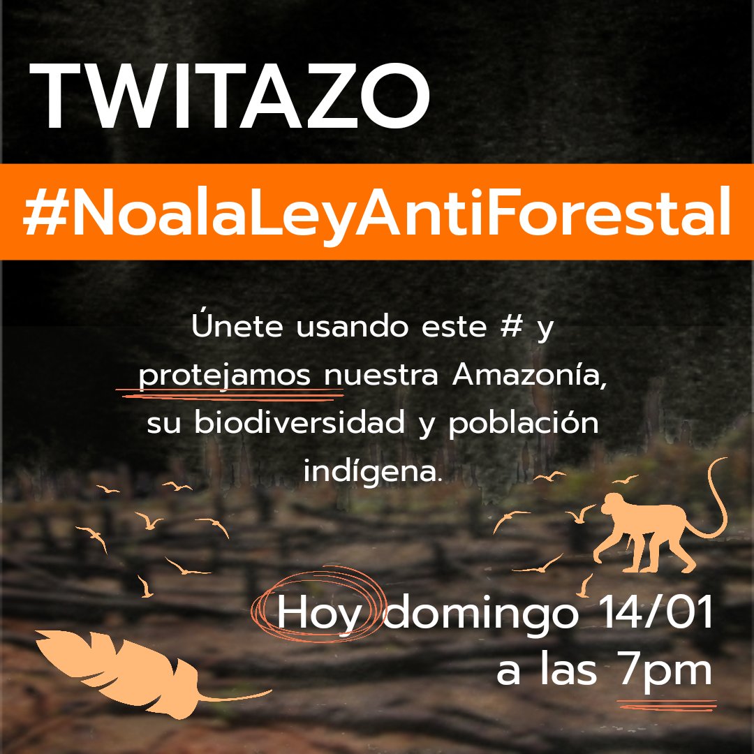 luisbarcena7's tweet photo. ¡Los bosques se defienden! @congresoperu basta de legalizar la deforestación. #NoALaLeyAntiforestal, exigimos #DerogatoriaAhora
@MinamPeru
@midagriperu
@pcmperu
@MINCETUR
@tc_peru
@ContraloriaPeru
@defensoria_peru
@FiscaliaPeru
@agrariacomision
@cdpueblos https://t.co/Mf0SBAetJZ